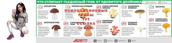 шишки Баксан