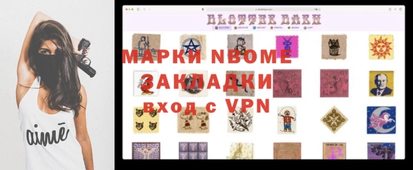 шишки Баксан