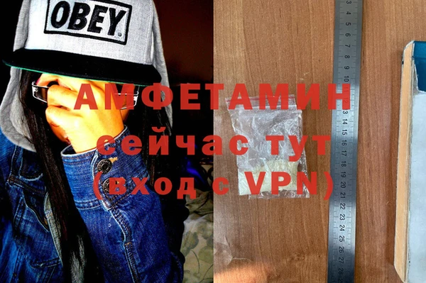 шишки Баксан