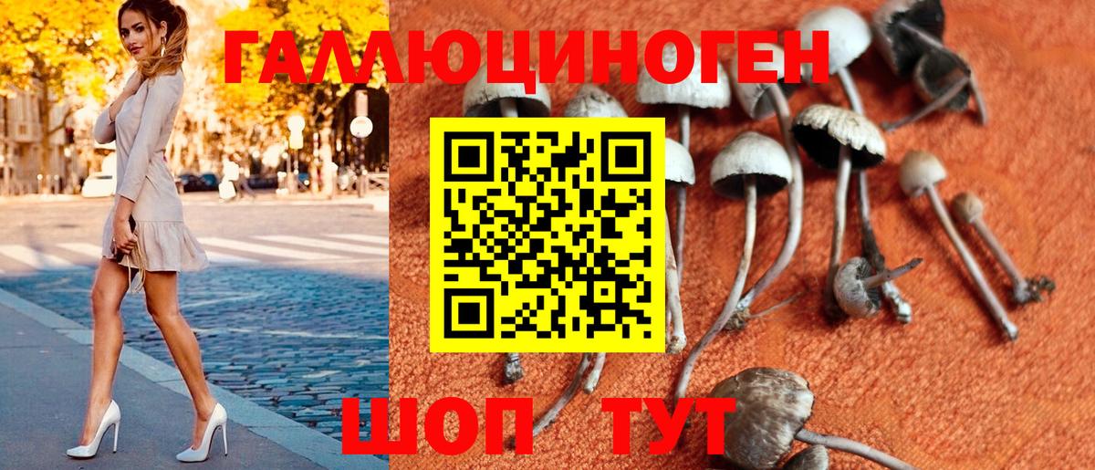 Каспийск  Псилоцибиновые грибы Magic Shrooms  Вход с VPN 