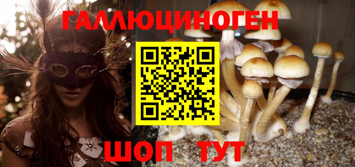 Псилоцибиновые грибы мицелий Каспийск